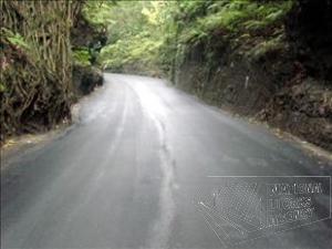 Fern Gully Fern Gully
