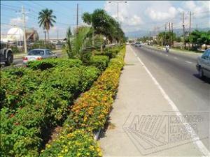 marcus garvey drive marcus garvey drive