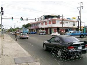 Seward and Molynes Intersection Traffic Lights